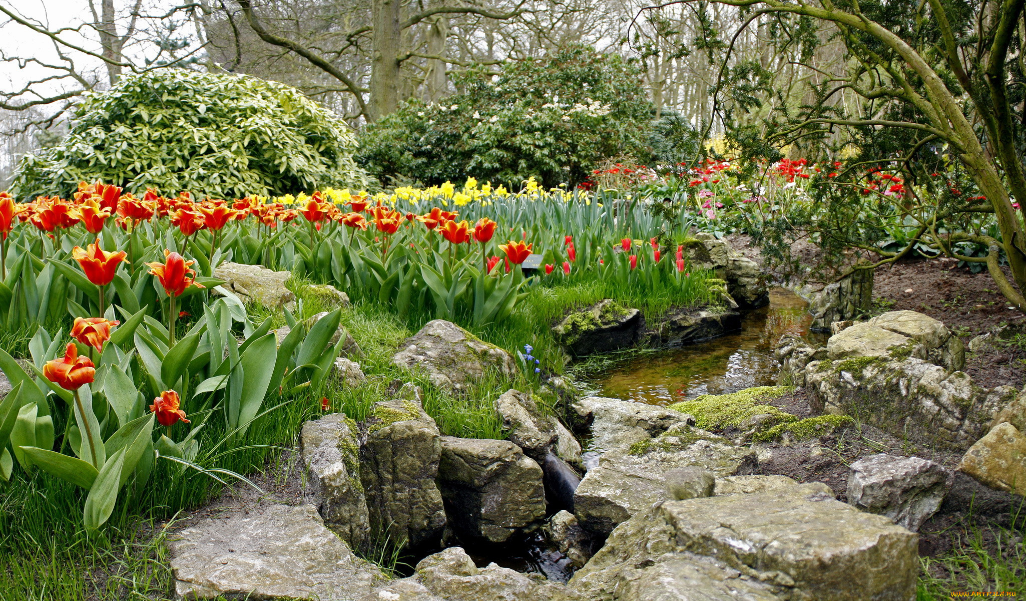 keukenhof, lisse, netherlands, , , 